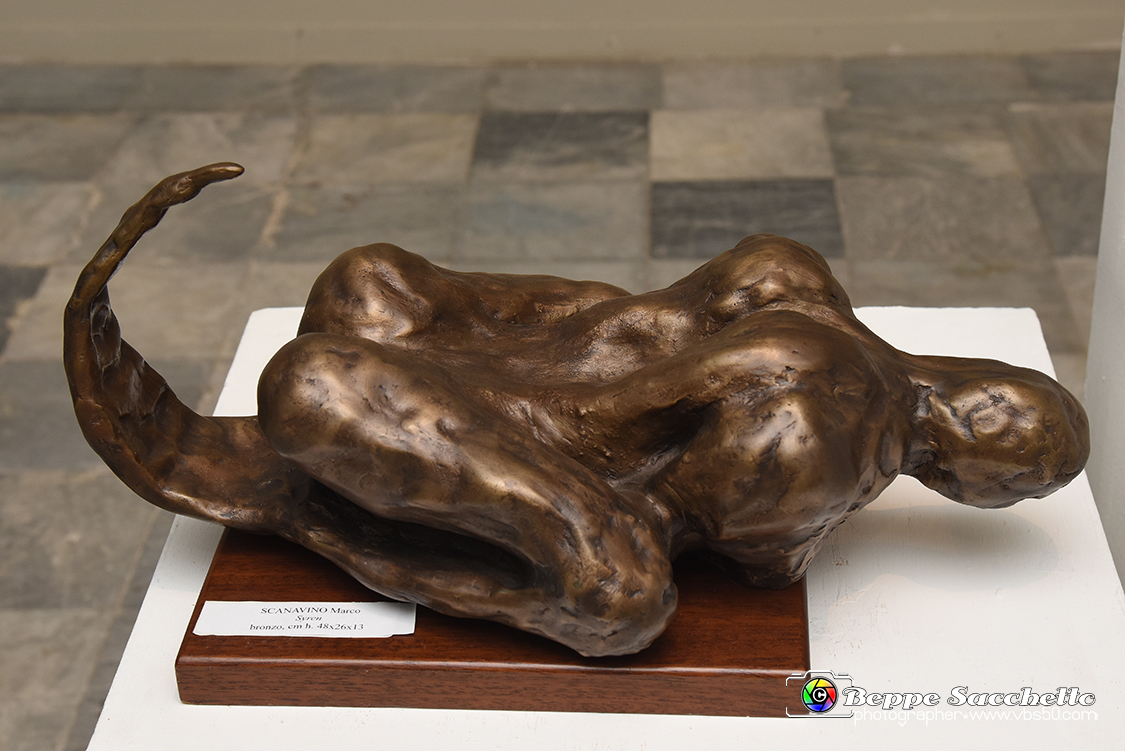 VBS_8345 - 179.ma Esposizione di Arti Figurative.jpg